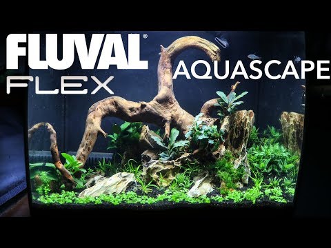 Nano aquarium setup! (Fluval flex 9 gallon)