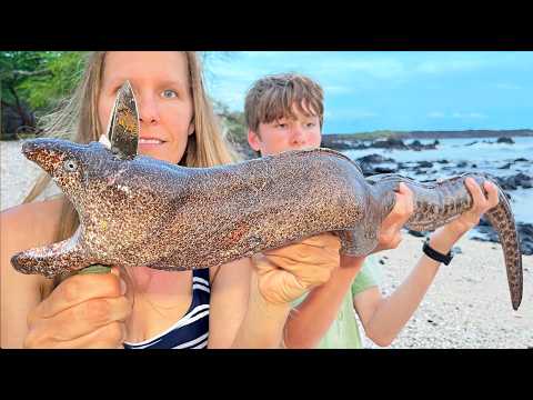 Hunting the BIGGEST Moray EEL We’ve Ever Seen (it was delicious)