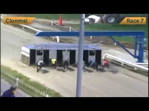 Riverside Honey - 10th August 2018