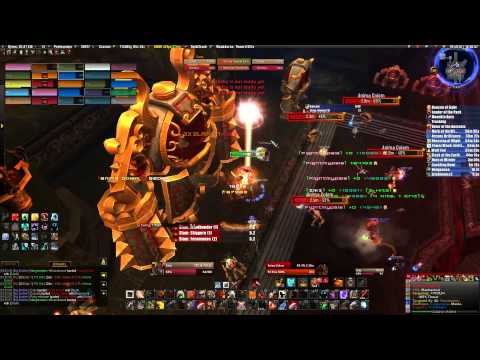 Echoes vs Dark Animus 25