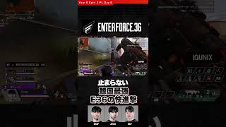 止まらない #enterforce36 の快進撃 #cinap #obly #jusna #ALGS Split 2 Pro League