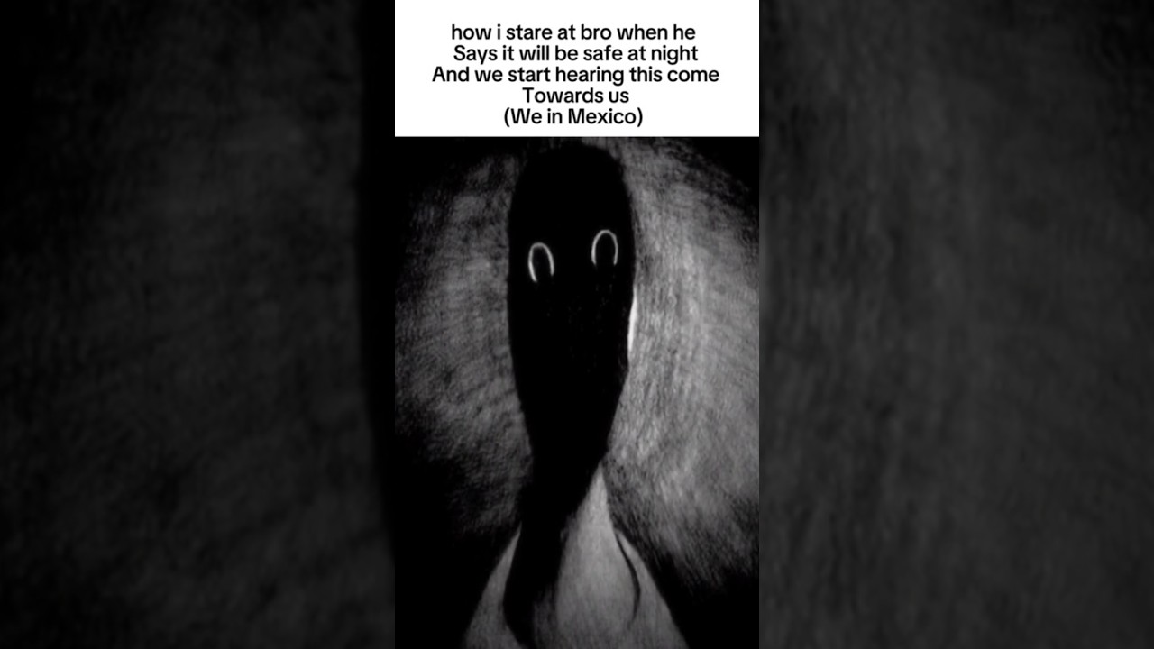 The cartel #mexico #funny #memes