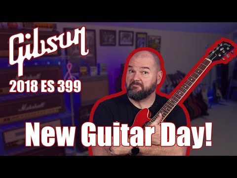 NGD! 2018 Gibson ES 339!