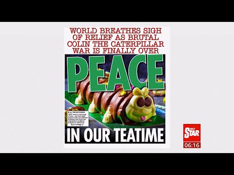 Caterpillar cakes wars are over 'peace in our teatime' (UK) - BBC News - 2nd February 2022