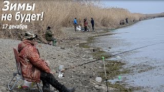 Ссылка