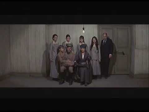 The execution of the Romanovs at the Ipatiev House - Movie interpretation