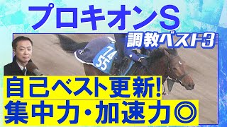 【伏兵がランクイン！】ブライアンセンス、ロードクロンヌ、サイモンザナドゥ・・・競馬エイト・高橋賢司トラックマンの調教解説＜プロキオンステークス(ＧⅡ)＞