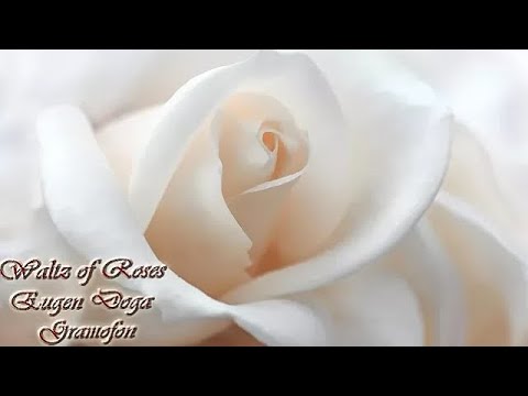 Eugen Doga - Gramofon | Waltz of Roses