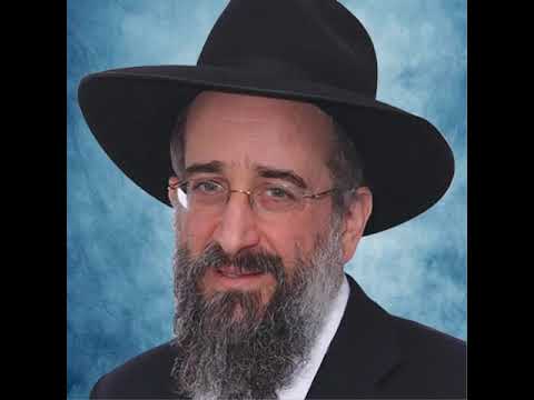 Rav yisroel reisman: an amazing story of the rebbes of skulen and viznetz