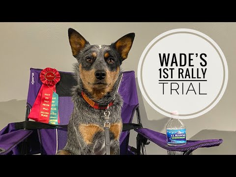 WCRL - Rally Obedience 1st Q