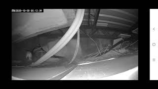 [問卦] 米奇怎麼那麼厲害啊........