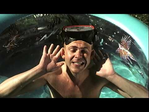 YETI GIRLS "SEXIMINISUPERFLOWERPOPOPCOLAFAN"