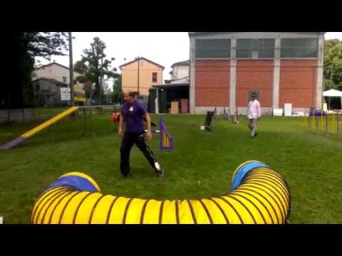 Master Mauro Zannoni