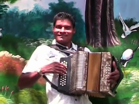 Los Guapachosos del Vallenato - La Caimana ( Video Oficial  )