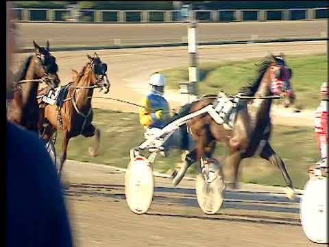 Trotto 30/01/2018 - 1ª corsa