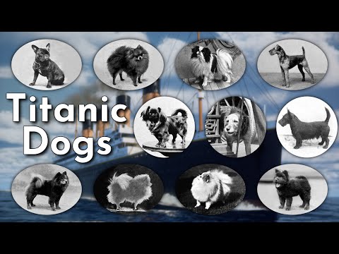 Titanic Dogs Part I: The Canine Passengers