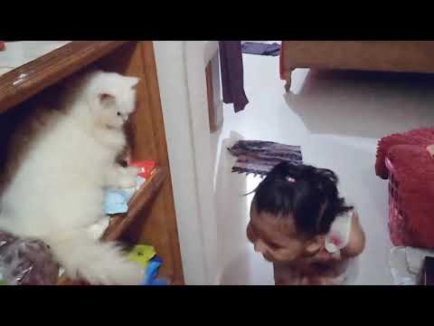 Wamiha always complains about Tutu. 'i was just playing but Tutu hurt me 😭'. now here's the proof.