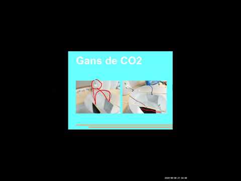 2020 06 08 PM Public Teaching in Spanish - Enseñanzas públicas en Español