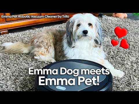 Emma Dog Meets Emma Pet Robot Vacuum
