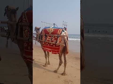 jagannath Puri, beach.like the video and sabscibe.