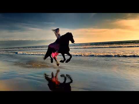 cavalli in branco al galoppo  inrorno al mondo