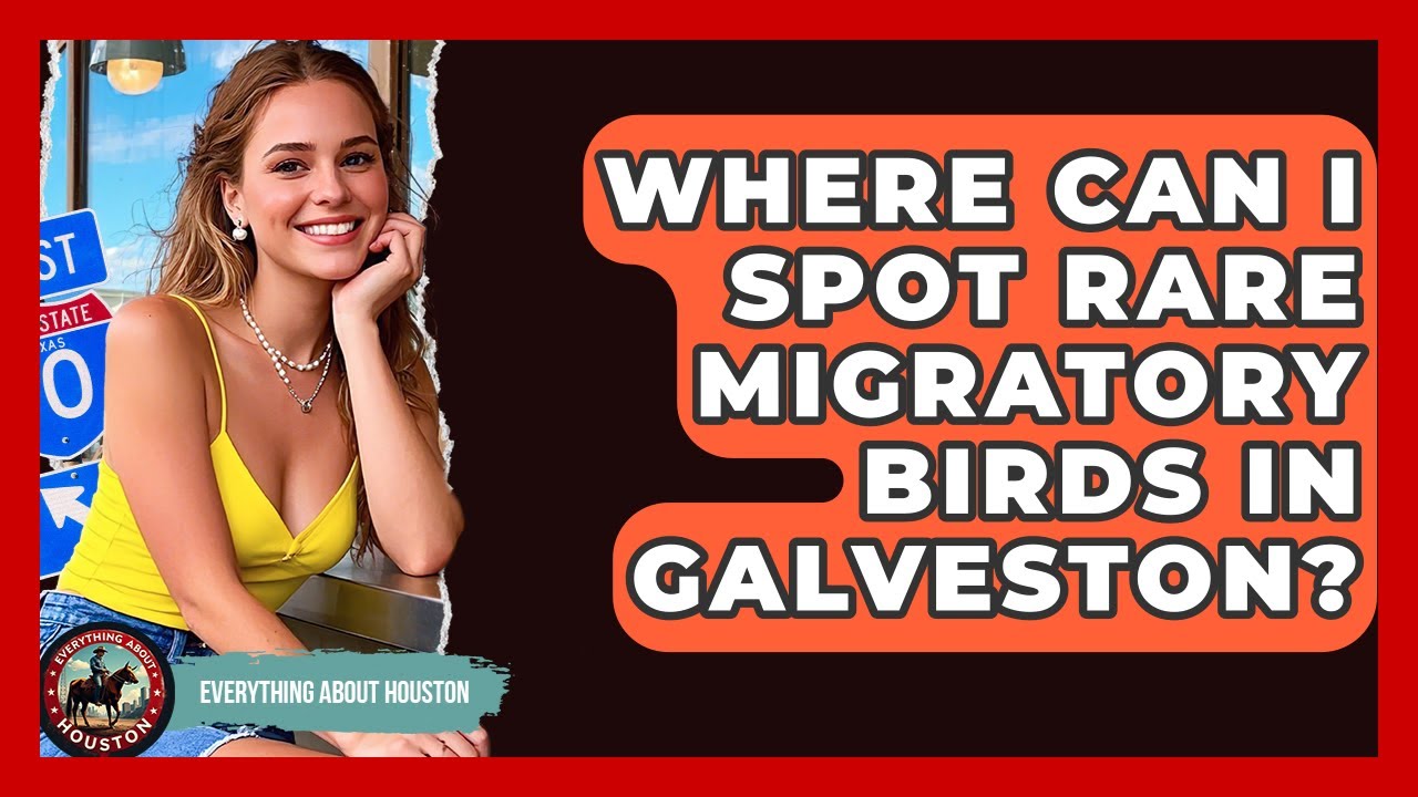 Colombian Island Sanctuary: A Haven for Avian Life