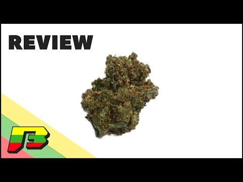 download lagu mp3 mp4 Lemon Jack Review, download lagu Lemon Jack Review gratis, unduh video klip Lemon Jack Review