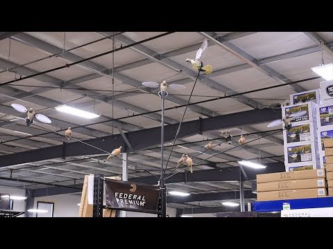 download lagu mp3 mp4 Mojo Flyer, download mp3 Mojo Flyer free download mp3, download mp3 Mojo Flyer