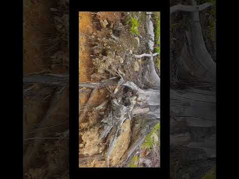 Edit #mountains #mishmash #nature #przyroda