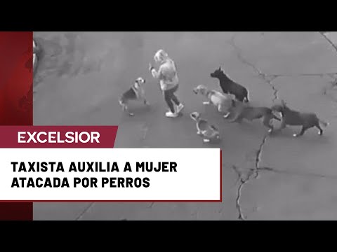 Jauría de perros deja a una mujer herida en calles de Ixtapaluca, Edomex