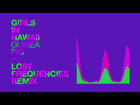 Girls in Hawaii - Guinea Pig (Lost Frequencies remix)