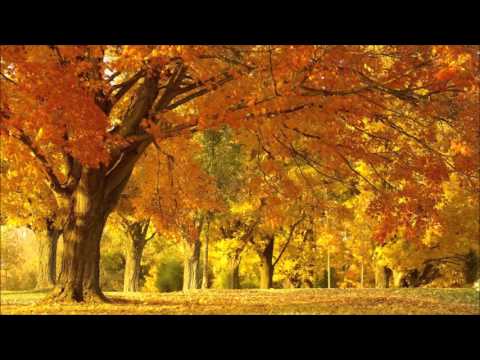 Vivaldi - Autumn - Second Movement