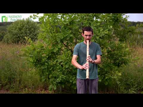 Shakuhachi 2.4 A key ashwood by HarmonyFlute workshop