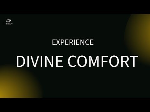 Witness21  2024 11 20