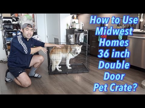 36 Inch Dog Crate With Divider