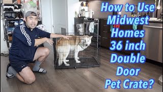 How to Use Midwest Homes 36 inch Double Door Pet Crate