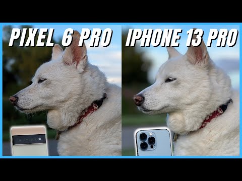 Google Pixel 6 Pro vs iPhone 13 Pro Camera Comparison