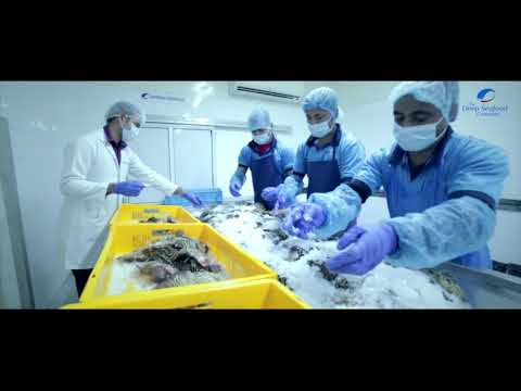 The Deep Sea Food Company | Seafood Industry