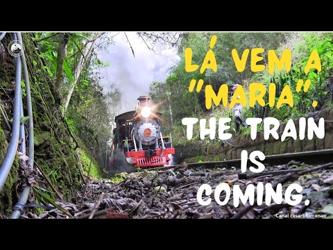 🇧🇷  Maria fumaça da EFSC / EFSC Steam locomotive Brazil - Apiúna/SC - 2023 - (Brasil) #videodetrem