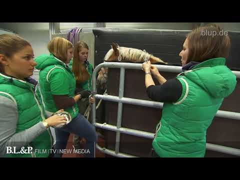 Horse Clinic - Raw Cut bluptv