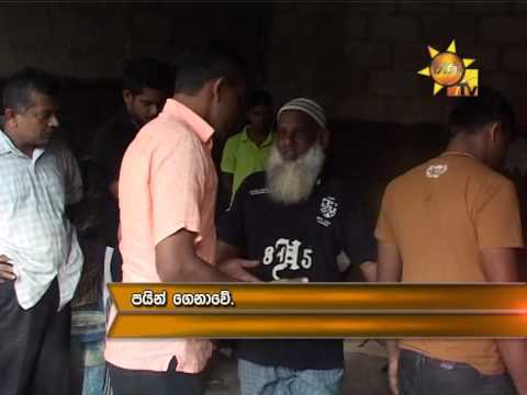 Hiru TV News CIA | DEMATAGODA HARAK MAS JAWARAMA |2014-05-23 