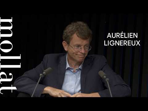 Aurélien Lignereux - Napoléon : la France et l’Europe : son histoire par l'infographie
