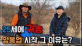 여러분 이 영상을 보시면 분명 부러우실 겁니다.(꿀 직업 양봉업에 대해 알아보자!)