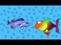 Animatie 1 Meet PIM De Vis