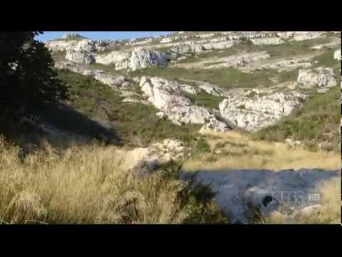 PBS   Cezanne in Provence