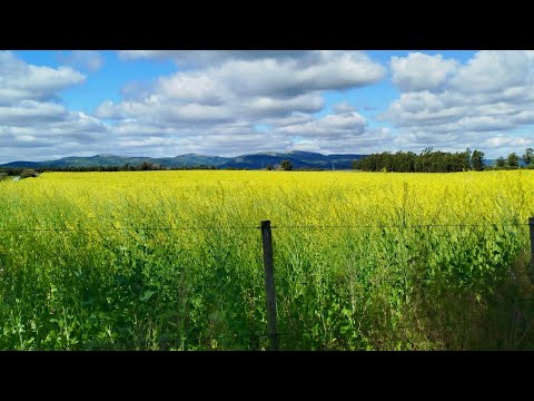 Campo en venta en Solís de Mataojo - 34 hectáreas con arroyo y casa - oportunidad en Maldonado 