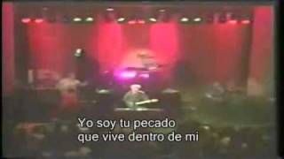 A Flock Seagulls You Can Run subtitulado español