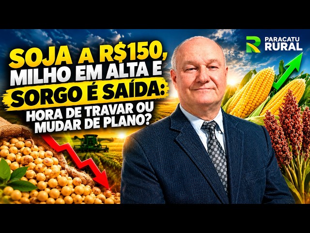 Soja a R$150, Milho em Alta e Sorgo é Saída: Hora de Travar ou Mudar de Plano?