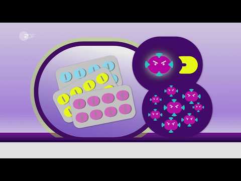 So werden Bakterien resistent gegen Antibiotika - logo! erklärt - ZDFtivi
