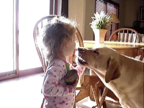 download lagu mp3 mp4 Purple Applesauce, download lagu Purple Applesauce gratis, unduh video klip Purple Applesauce